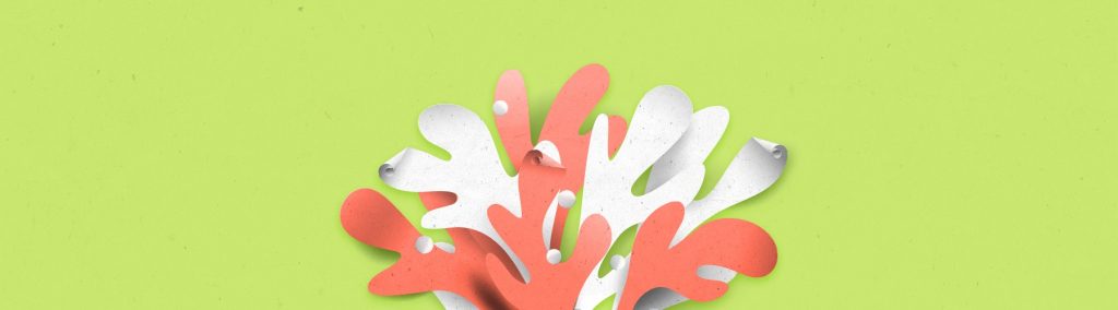 Volantini: Diversi tipi di carta