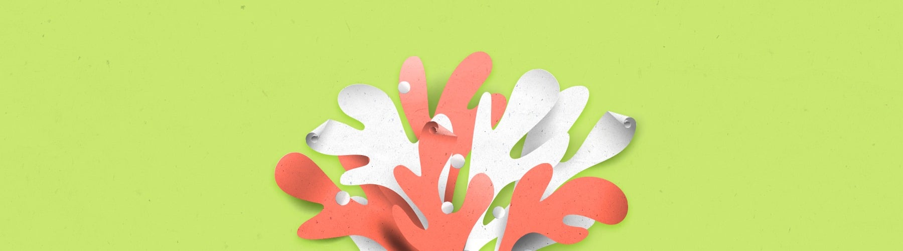 Volantini: Diversi tipi di carta Volantini: Diversi tipi di carta