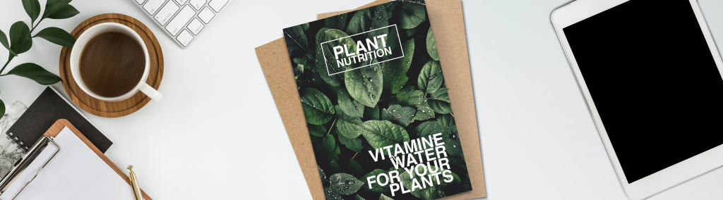 Come scegliere il materiale eco per i tuoi flyer